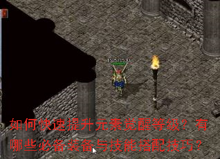 如何快速提升元素觉醒等级?有哪些必备装备与技能搭配技巧? 如何快速提升元素觉醒等级?有哪些必备装备与技能搭配技巧?