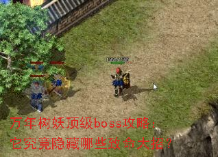������������boss���ԣ�������������Щ�������У�