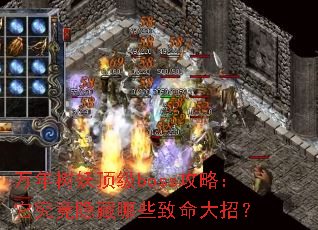 ������������boss���ԣ�������������Щ�������У�