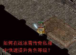 如何在战冰雪传奇私服中快速提升角色等级? 如何在战冰雪传奇私服中快速提升角色等级?