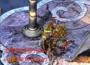 ��ο�������45woool�����ɫս����