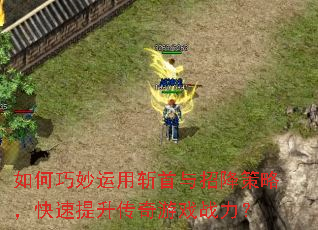 如何巧妙运用斩首与招降策略,快速提升传奇游戏战力? 如何巧妙运用斩首与招降策略,快速提升传奇游戏战力?