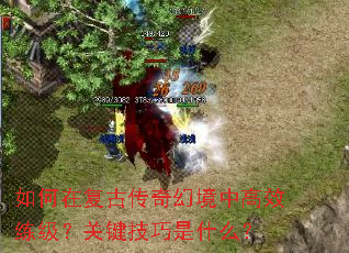 如何在复古传奇幻境中高效练级?关键技巧是什么? 如何在复古传奇幻境中高效练级?关键技巧是什么?