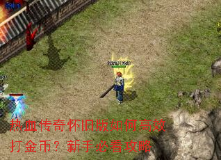 热血传奇怀旧版如何高效打金币?新手必看攻略 热血传奇怀旧版如何高效打金币?新手必看攻略