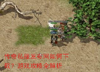 传奇私服发布网如何下载?游戏攻略全解析 传奇私服发布网如何下载?游戏攻略全解析