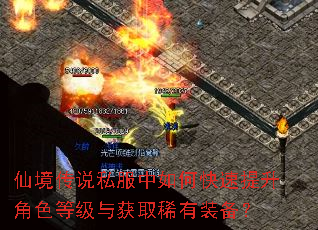 仙境传说私服中如何快速提升角色等级与获取稀有装备? 仙境传说私服中如何快速提升角色等级与获取稀有装备?