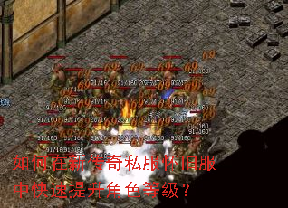 如何在新传奇私服怀旧服中快速提升角色等级? 如何在新传奇私服怀旧服中快速提升角色等级?