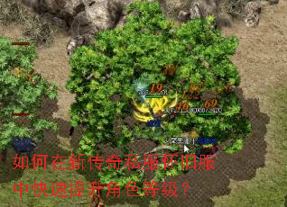 如何在新传奇私服怀旧服中快速提升角色等级? 如何在新传奇私服怀旧服中快速提升角色等级?