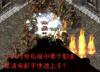 十大传奇私服中哪个职业最适合新手快速上手? 十大传奇私服中哪个职业最适合新手快速上手?