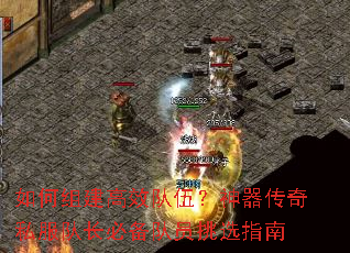 ����齨��Ч���飿��������˽���ӳ��ر���Ա��ѡָ��