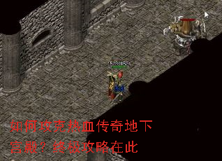 ��ι�����Ѫ������¹���ռ������ڴ�