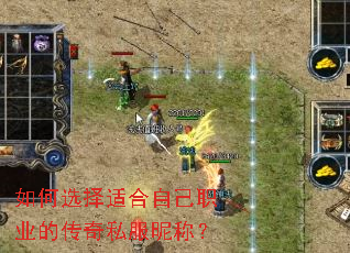 ���ѡ���ʺ��Լ�ְҵ�Ĵ���˽���ǳƣ�