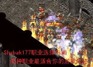 Shabak177ְҵѡ��ָ�ϣ�����ְҵ���ʺ������Ϸ���