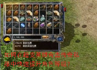 如何在超变英雄合击传奇私服中快速提升角色等级? 如何在超变英雄合击传奇私服中快速提升角色等级?