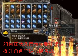 ����ڳ��ô���˽���п���������ɫ�ȼ���װ��ս����