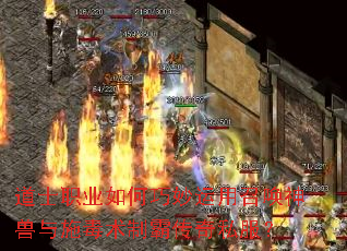 ��ʿְҵ������������ٻ�������ʩ�����ưԴ���˽����