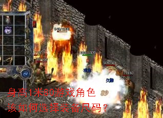 ����1��80��Ϸ��ɫ�����ѡ��װ�����룿