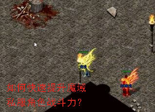 如何快速提升魔域私服角色战斗力? 如何快速提升魔域私服角色战斗力?