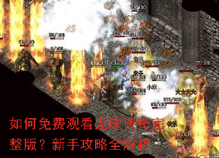 �����ѹۿ����鴫�������棿���ֹ���ȫ����