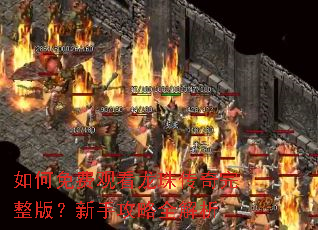 �����ѹۿ����鴫�������棿���ֹ���ȫ����