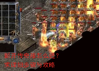 �¿��������ô��������ϸ�����빥��