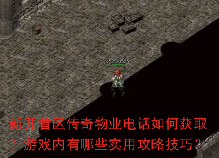 �¿�����������ҵ�绰��λ�ȡ����Ϸ������Щʵ�ù��Լ��ɣ�