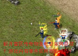 �¿�����������ҵ�绰��λ�ȡ����Ϸ������Щʵ�ù��Լ��ɣ�