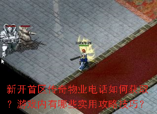 �¿�����������ҵ�绰��λ�ȡ����Ϸ������Щʵ�ù��Լ��ɣ�