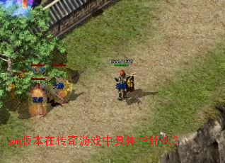 gm�汾�ڴ�����Ϸ�о���ָʲô��