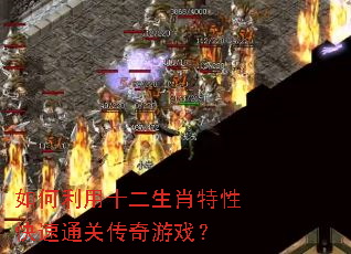 如何利用十二生肖特性快速通关传奇游戏? 如何利用十二生肖特性快速通关传奇游戏?