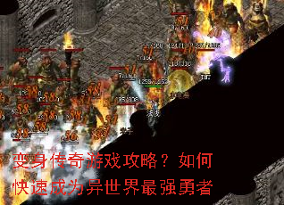 ����������Ϸ���ԣ���ο��ٳ�Ϊ��������ǿ����