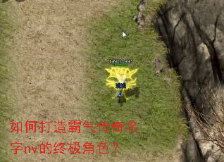 ��δ��������������nv���ռ���ɫ��