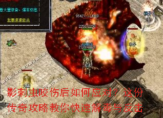 Ӱ�̳�ҧ�˺����Ӧ�ԣ���ݴ��湥�Խ�����ٽⶾ�뷴��
