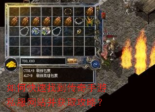 如何快速找到传奇手游私服网站并获取攻略? 如何快速找到传奇手游私服网站并获取攻略?