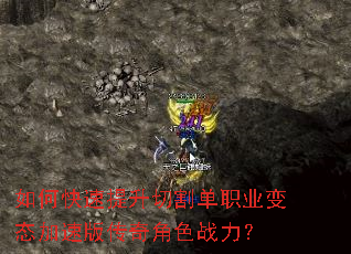 如何快速提升切割单职业变态加速版传奇角色战力? 如何快速提升切割单职业变态加速版传奇角色战力?