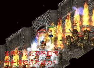 ������ر�̬��Ѫ���沢��������ս����