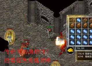 ������վ��ٳ֣��ٿ�Ӧ����������