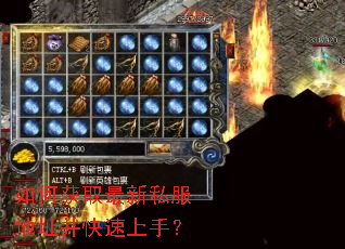 如何获取最新私服地址并快速上手? 如何获取最新私服地址并快速上手?