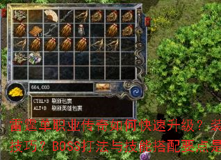 ������ְҵ������ο���������װ����ȡ����Щ���ɣ�BOSS���뼼�ܴ���Ҫ����ʲô��