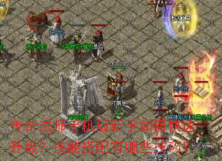 传奇法师手机版新手如何快速升级?技能搭配有哪些技巧? 传奇法师手机版新手如何快速升级?技能搭配有哪些技巧?