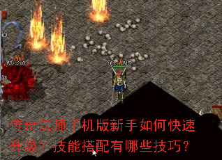 传奇法师手机版新手如何快速升级?技能搭配有哪些技巧? 传奇法师手机版新手如何快速升级?技能搭配有哪些技巧?