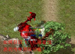 ��λ�ȡ�ɷ�˽�����ŻݵĴ�����Ϸ�۸�